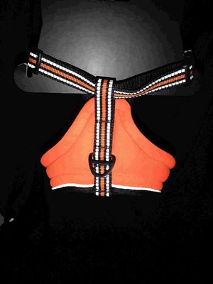 Ropa de seguridad esencial para su compañero peludo